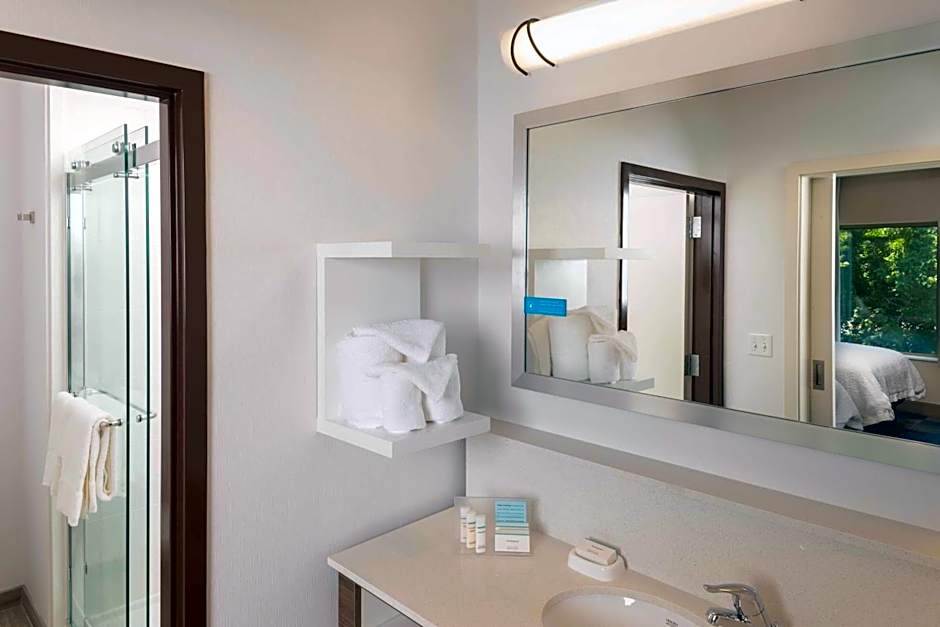 Hampton Inn By Hilton & Suites-Asheville Biltmore Village, NC