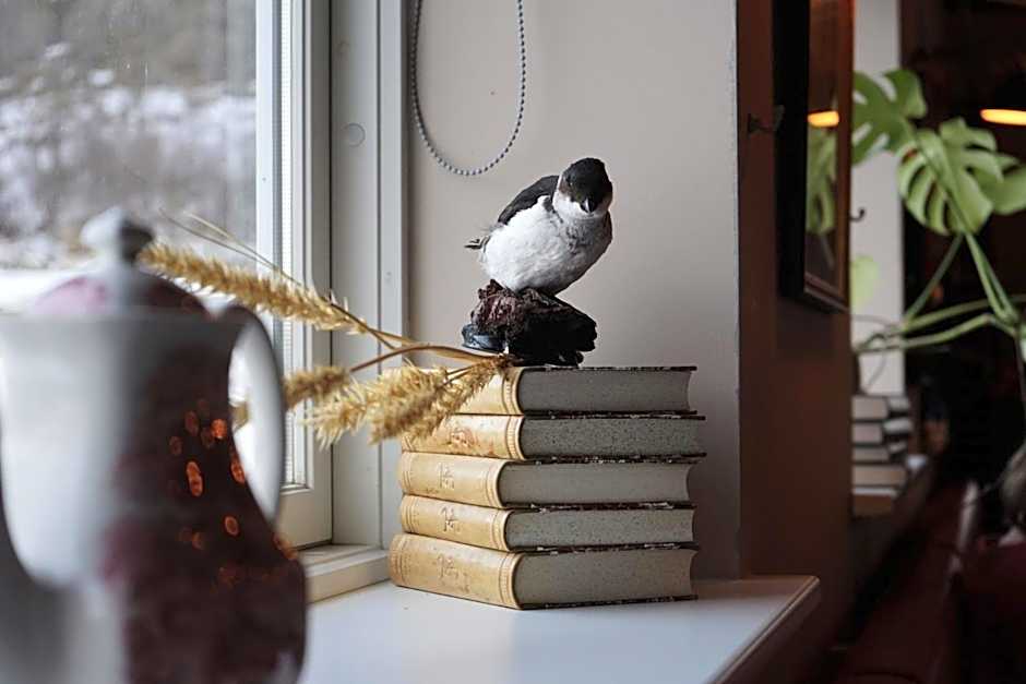 Tehúsið Hostel & Guesthouse