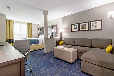 King Suite - Non-Smoking/Accessible