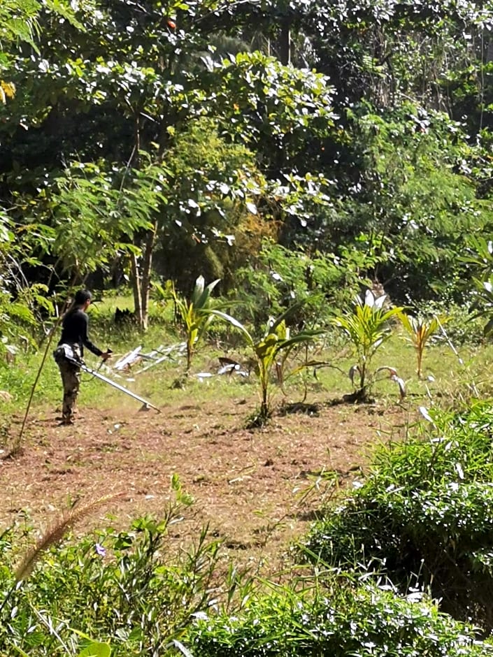 Neverland Beach Village Bungalows