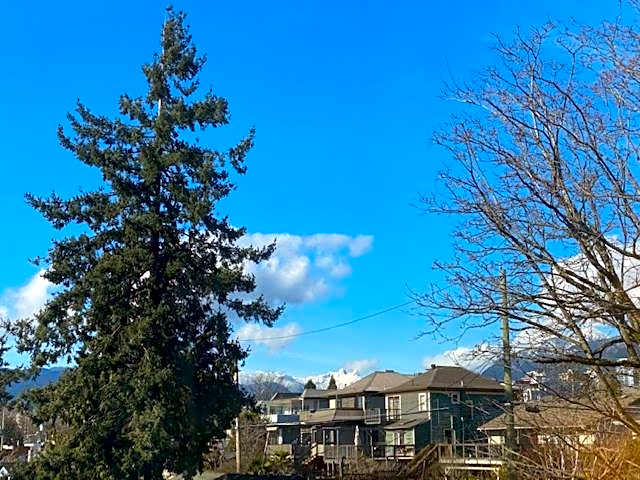 Ocean Breeze Executive Bed and Breakfast