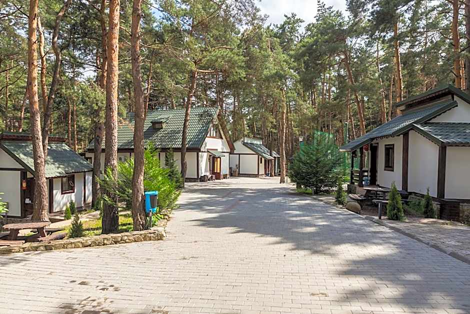 Complex Parc Pini Moinesti