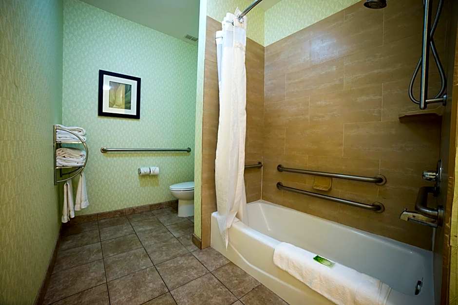 Holiday Inn Express Hotel & Suites Atlanta East - Lithonia By IHG
