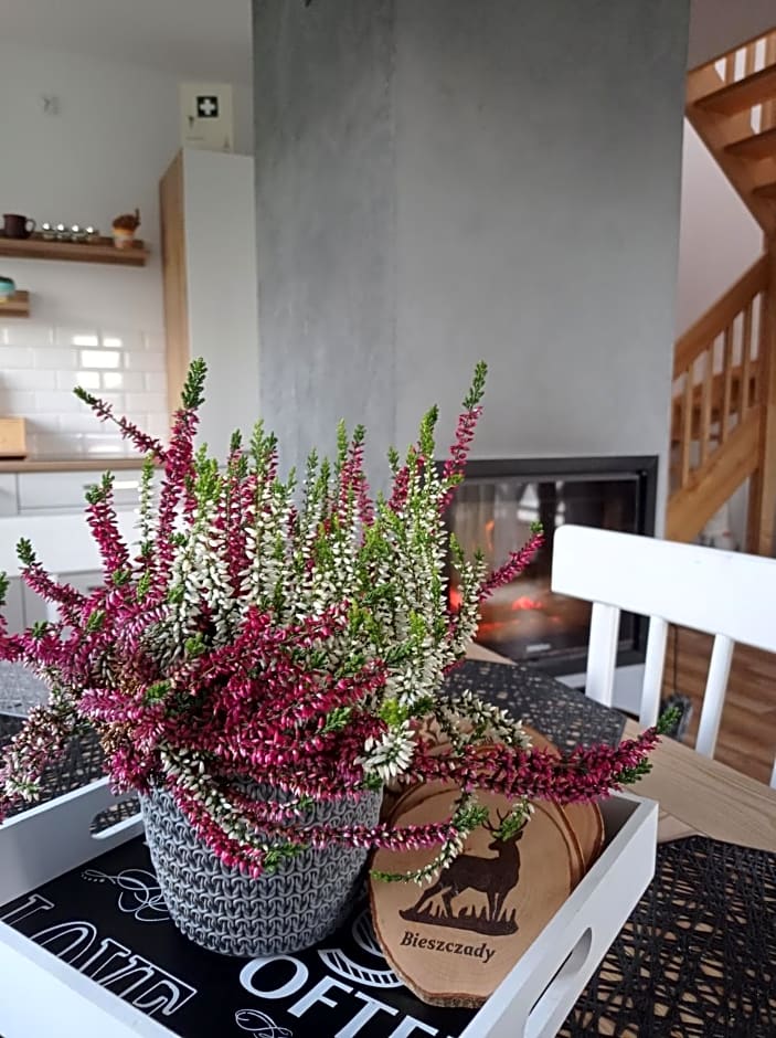 Brzozowy Zagajnik Bieszczady - Domki z Balia Ogrodowa