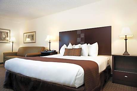 1 King Bed Non-Smoking