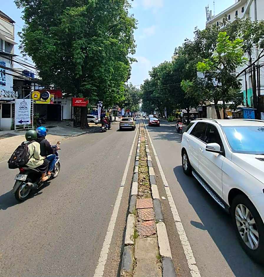 Golden Reindeer City Studio