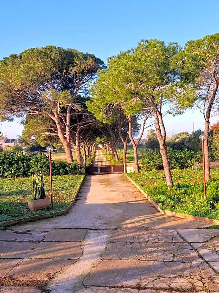 Turtle Island Apartments