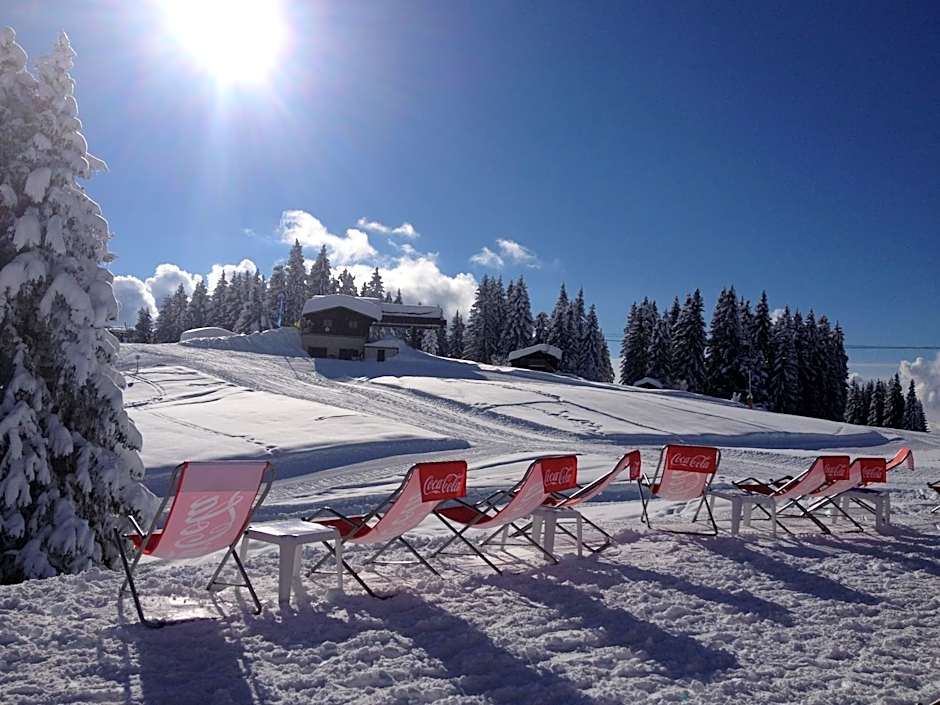 Chalet Hôtel du Mont-Charvin & Spa