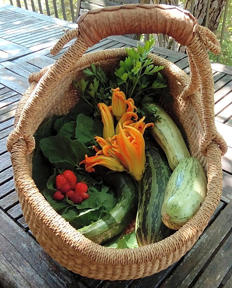 Bed & Breakfast SENTIERO 54