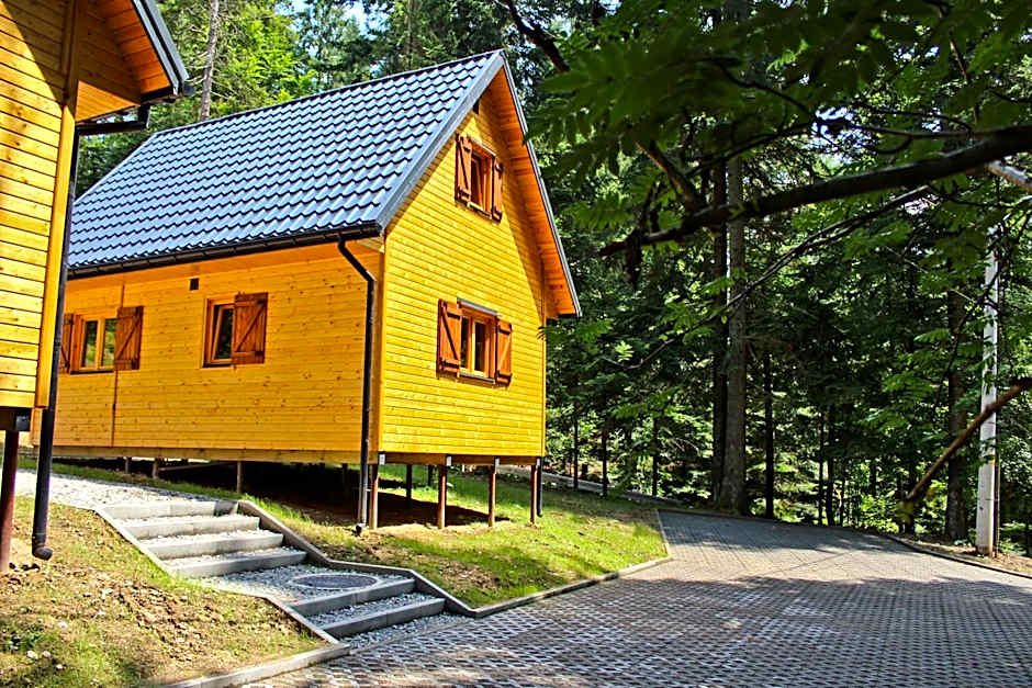 Leśna Willa PTTK w Komańczy