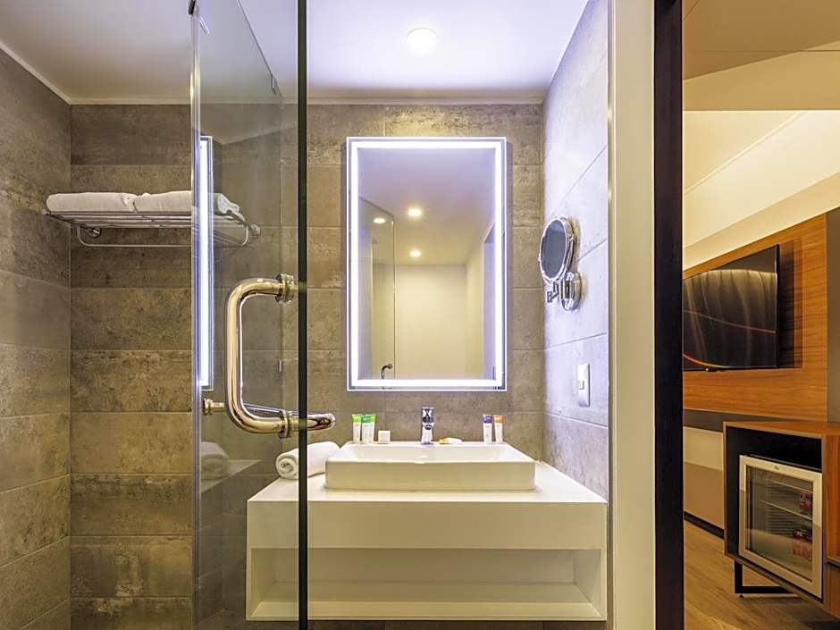 Novotel Santiago Providencia