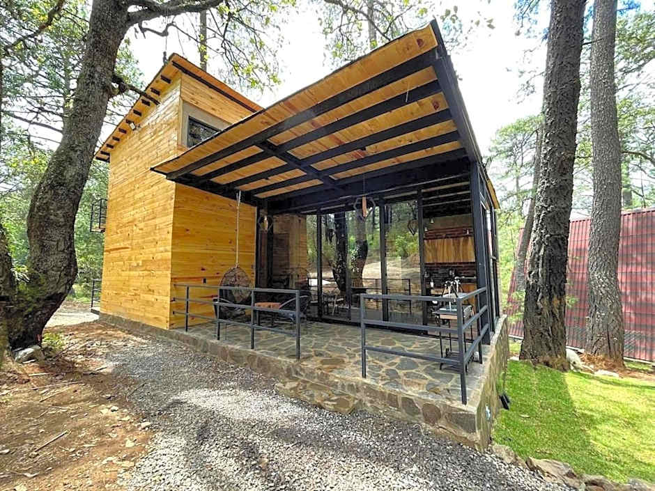 Hermosa Cabaña Inmersa en el Bosque de Tapalpa