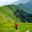 Hotel Monte Baldo