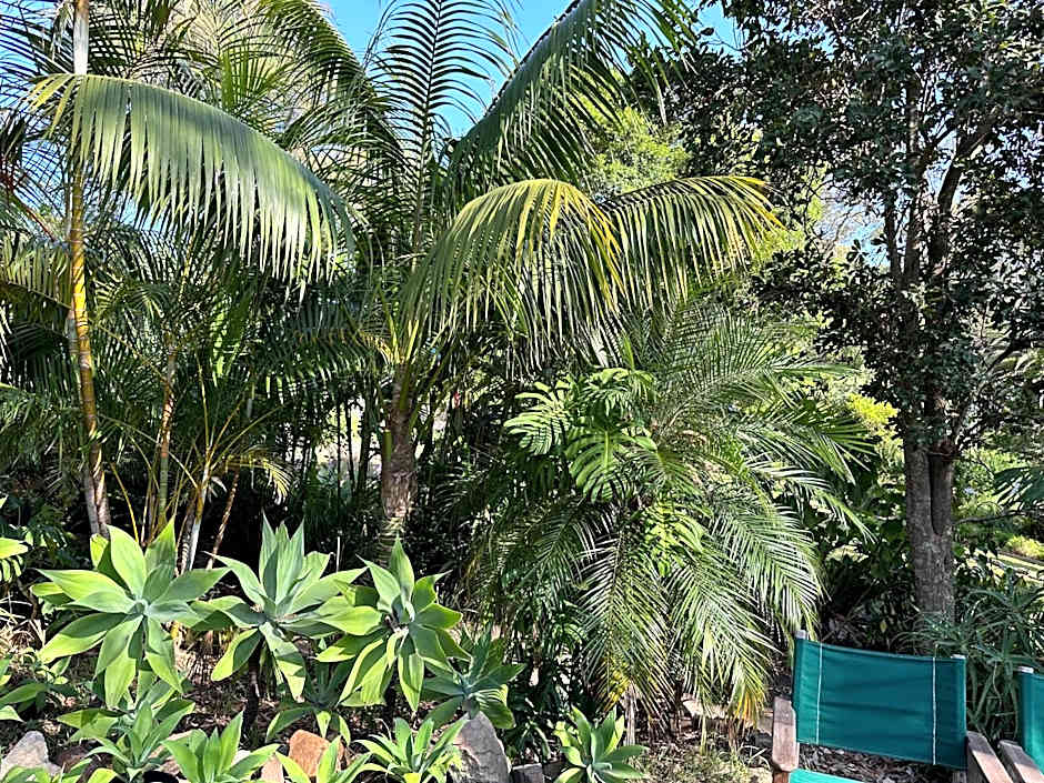 Palm Beach Bed & Breakfast