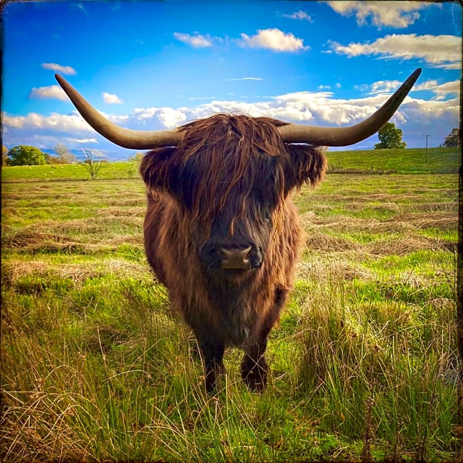 Trossachs Barn & Cabin - boutique B&B