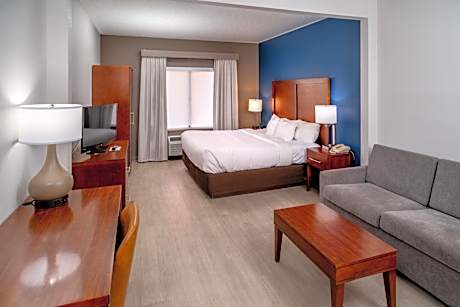 1 King Bed, Suite, Nonsmoking, Accessible