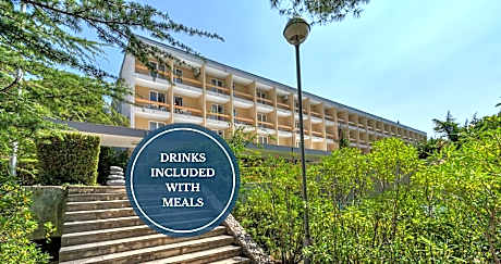 Hotel Alem