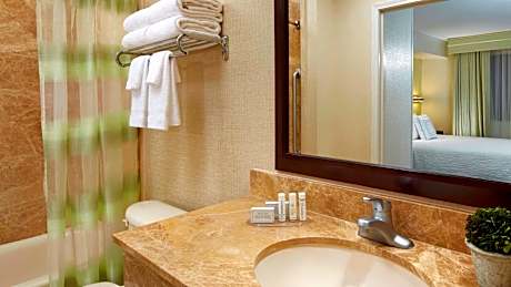 Suite-1 King 1 Queen Non-Smoking Two Bedrooms Sofabed 2 Tvs Living Room Wet Bar Full Breakfast