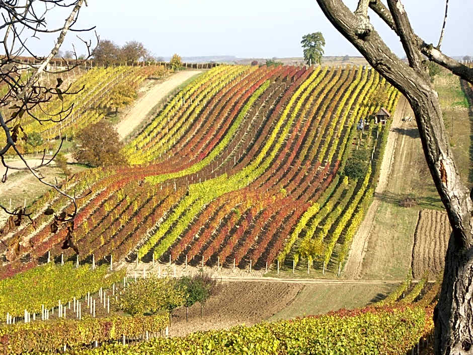 Adalbert penzion Čejkovice