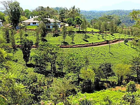 Parisons Plantation Experiences Bungalow