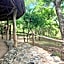 Lemara Eco Camp