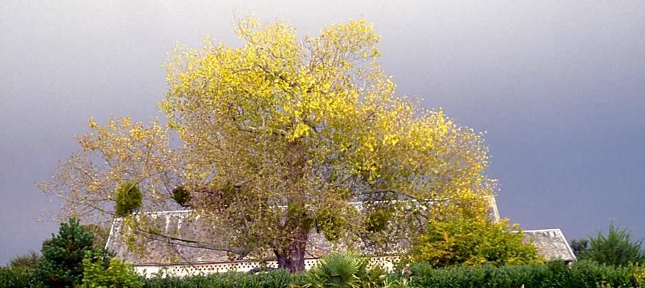 MANOIR de la RIVIERE