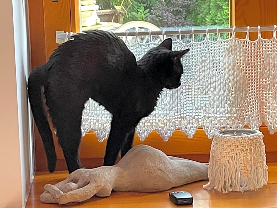 Agroturystyka Hanka i Jurek