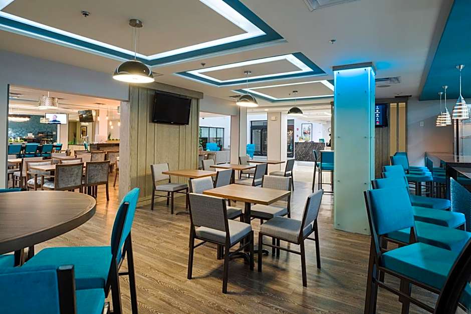 Wingate by Wyndham Chihuahua