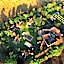 Weruweru River Lodge