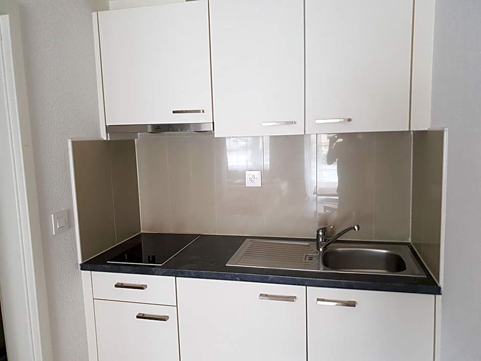 Swiss Chalet Holidays Ringgenberg