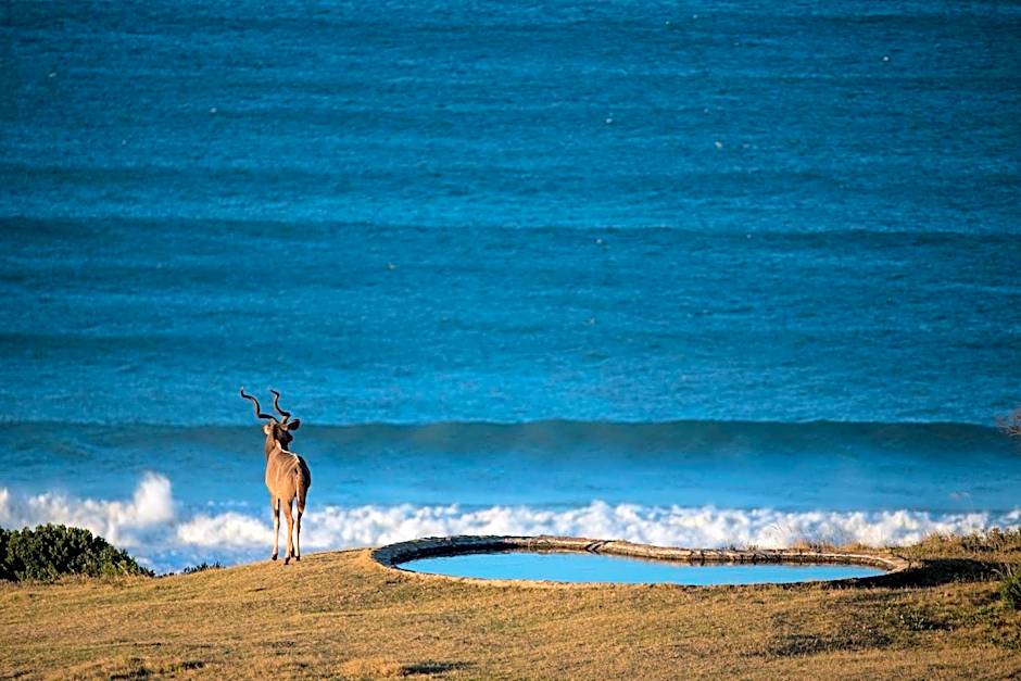 Oceana Beach and Wildlife Reserve