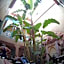 Riad Dar Mchicha