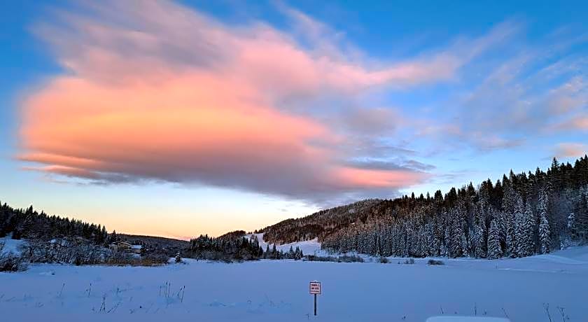 Au Coeur du Lapidaire
