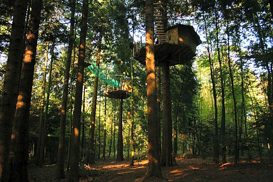 Insolites, Les Ormes, Epiniac