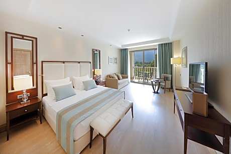 Deluxe Room with Mountain View