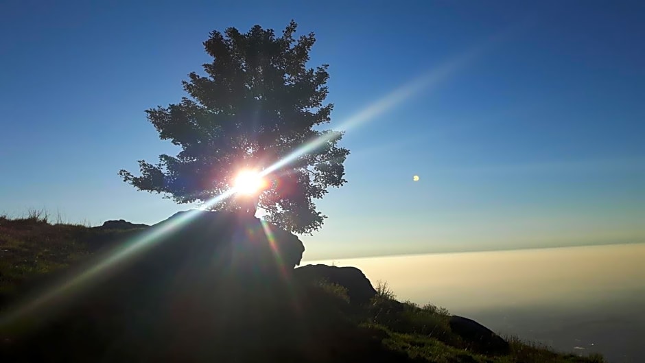 B&B La Coccinella Biologico