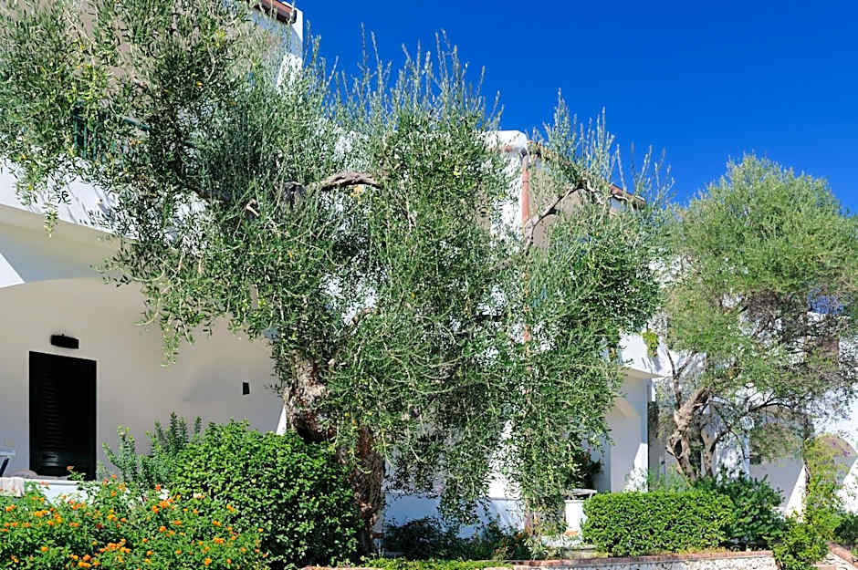 Baia Degli Aranci Suite & Apartments