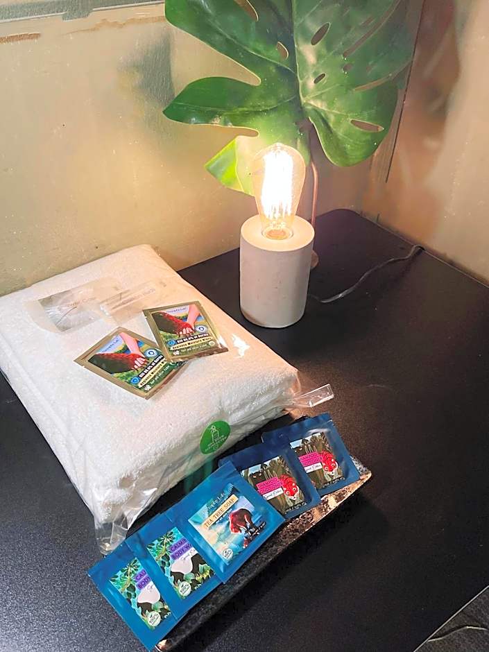 Nego Home Ancient Inn