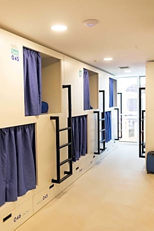 Bunk Bed in Mixed Dormitory Room