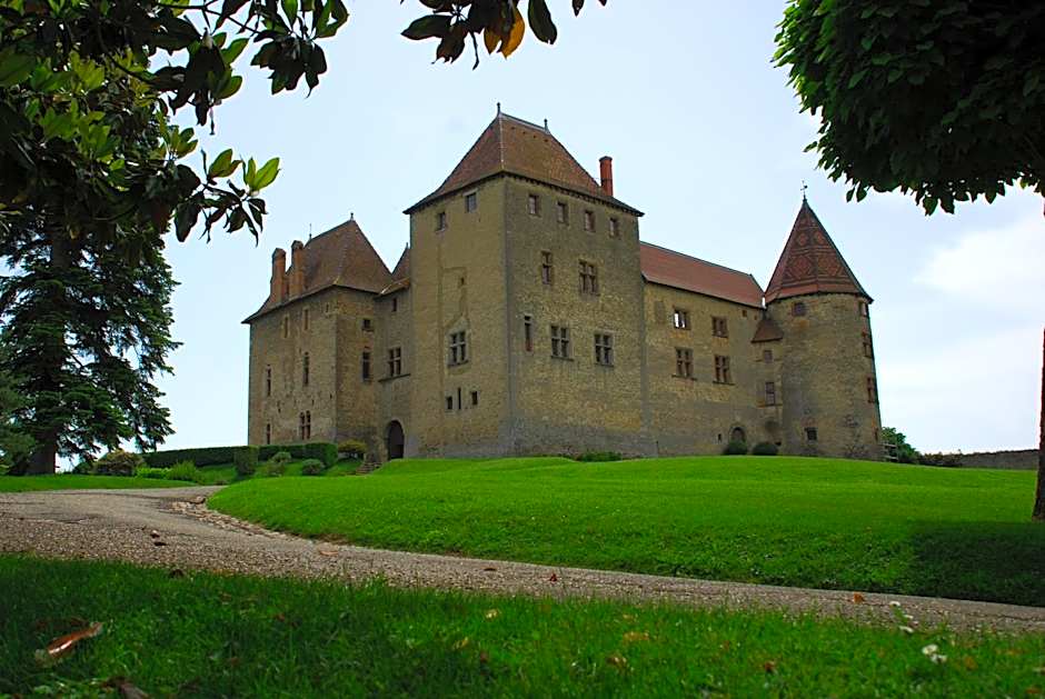 Hotel ibis Lyon Sud Chasse sur Rhone
