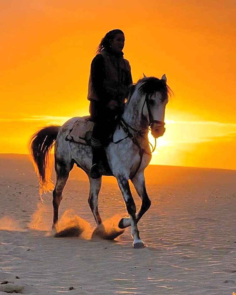 Dakhla South Bay, WorldHotels Distinctive