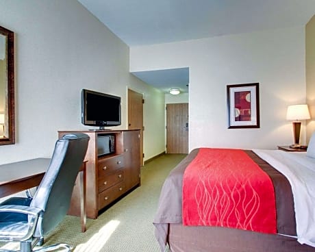 1 King Bed, Suite, Nonsmoking, Accessible