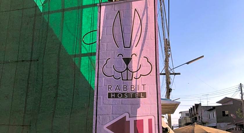 Rabbit Hotel
