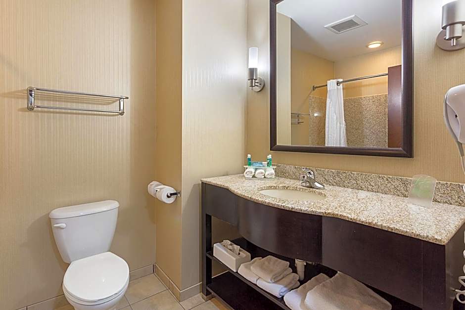 Holiday Inn Express Hotel & Suites Byram By IHG