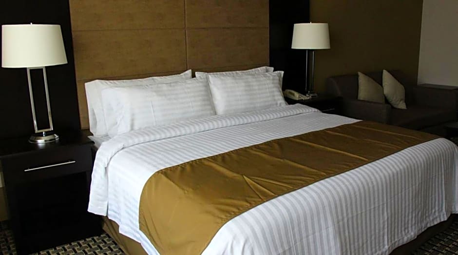 Holiday Inn Mexico Santa Fe By IHG
