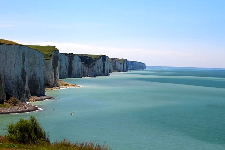Le chant des oiseaux