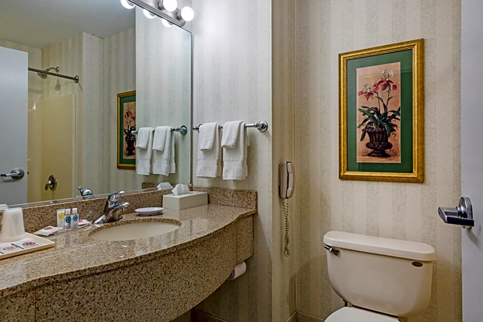 Comfort Inn & Suites East Greenbush - Albany