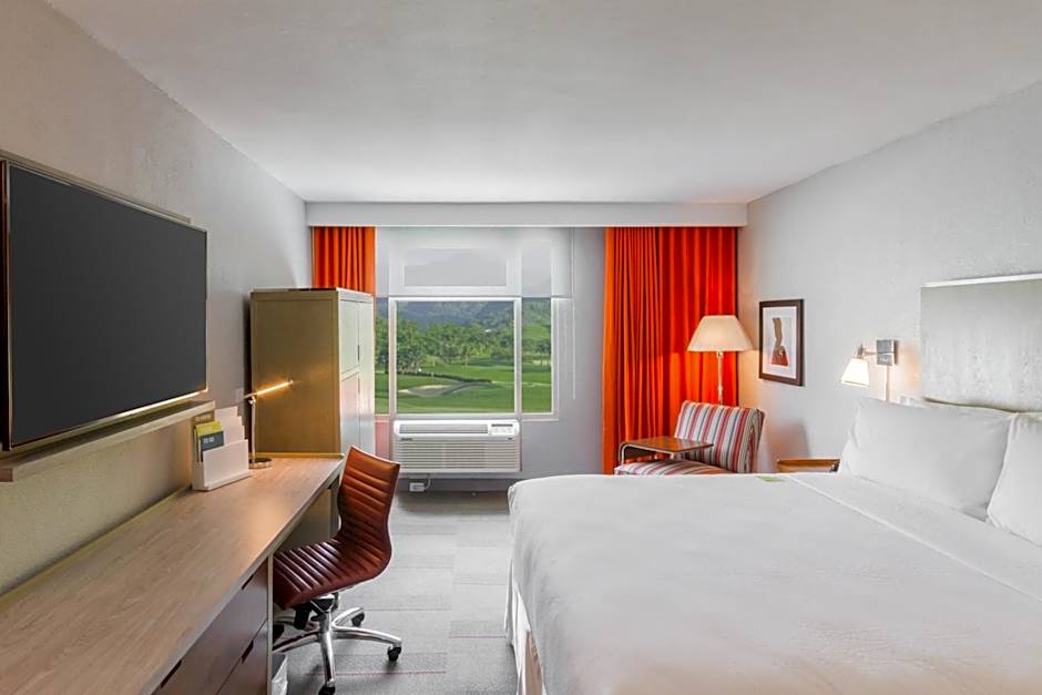 Four Points By Sheraton Caguas Real Hotel & Casino