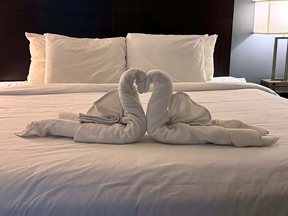 Clarion Inn & Suites Dothan South