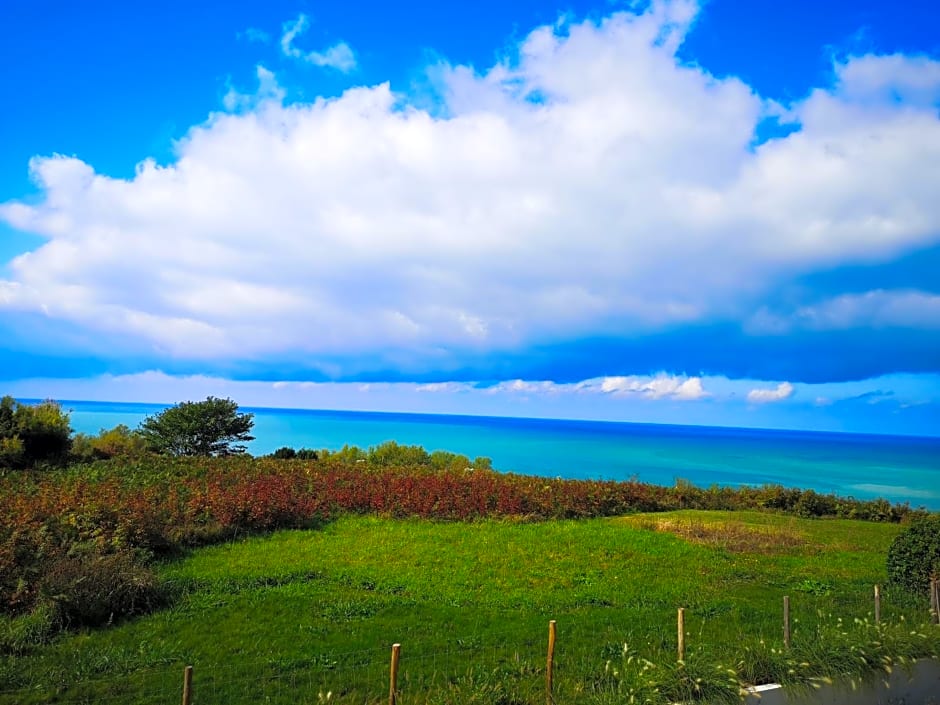 CHAMBRE D'HOTES Villa BIBICHERI